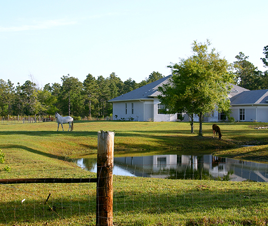 Ocala
